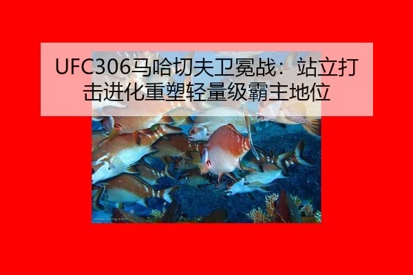 ma-ha-qie-fu-wei-mian-zhan-zhan-li-da-ji-jin-hua-zhong-su-qing-liang-ji-ba-zhu-di-wei-3-629.jpg