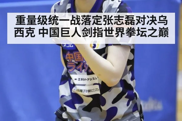 重量级统一战落定张志磊对决乌西克 中国巨人剑指世界拳坛之巅